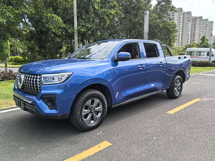 Great Wall Pao, 2023 — купить в Смоленске под ключ