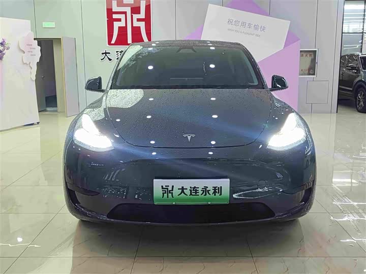 Tesla Model Y, 2024 — фото 2 из 9