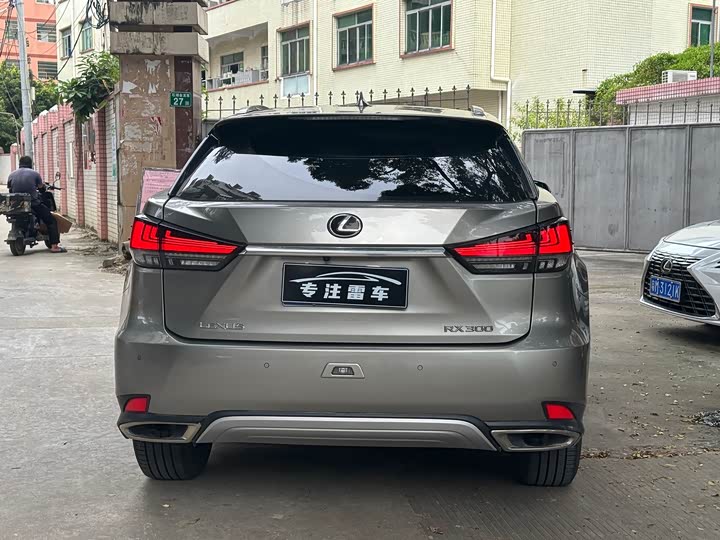 Lexus RX, 2022 — фото 8 из 9