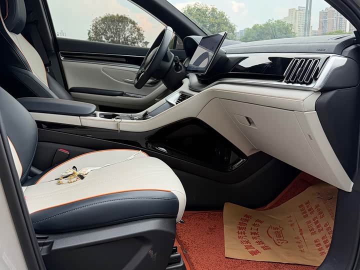 BYD Song Plus Hybrid/EV, 2024 — фото 7 из 9