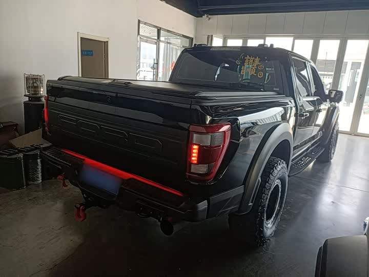 Ford F-150 Raptor, 2025 — фото 7 из 9