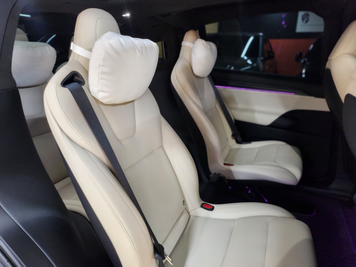 Tesla Model X, 2025 — фото 10 из 12