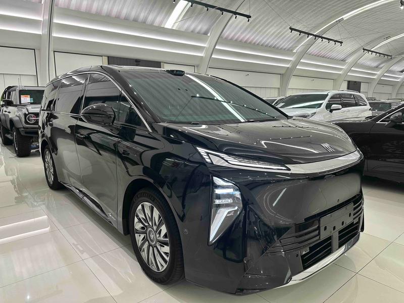 Buick OMPV, 2025 — фото 3 из 12