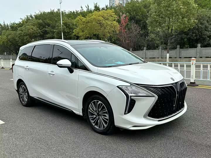 Dongfeng Forthing Yacht, 2022 — фото 2 из 9