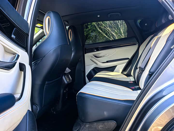 BYD Song Plus Hybrid/EV, 2022 — фото 8 из 9