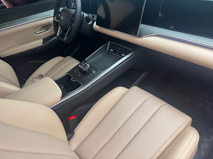BYD Song Pro Hybrid, 2024 — фото 8 из 9