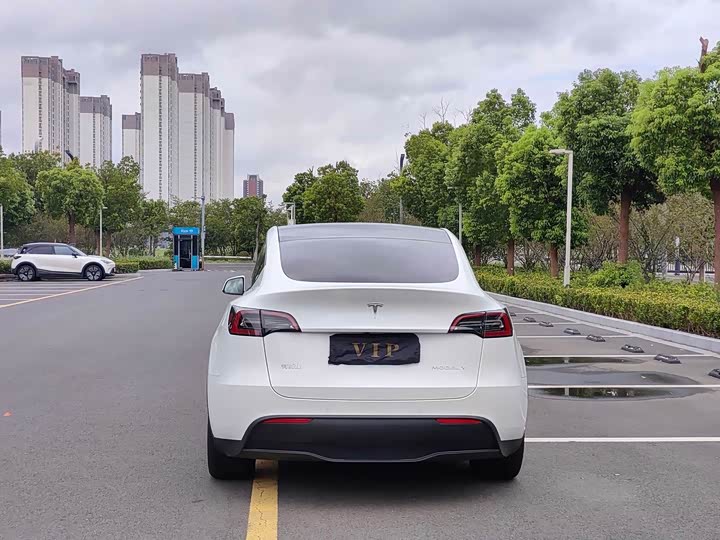 Tesla Model Y, 2022 — фото 6 из 9