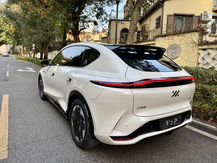 IM motors LS7, 2023 — фото 5 из 9