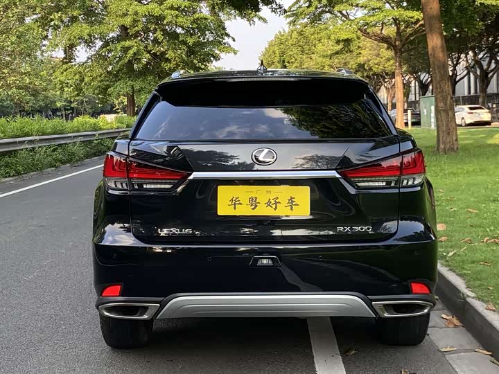 Lexus RX, 2021 — фото 3 из 9