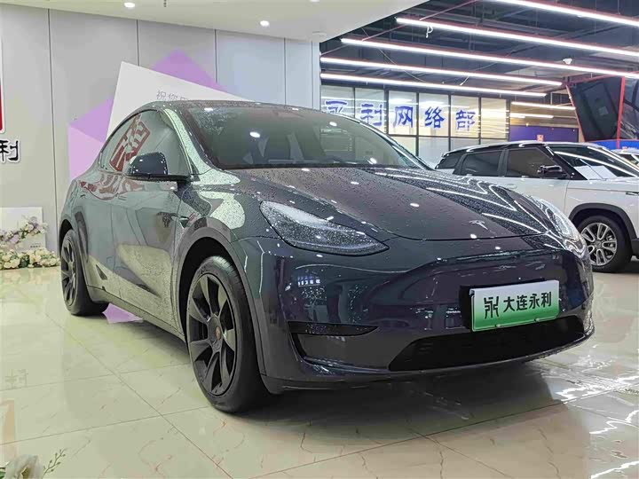 Tesla Model Y, 2024 — фото 3 из 9