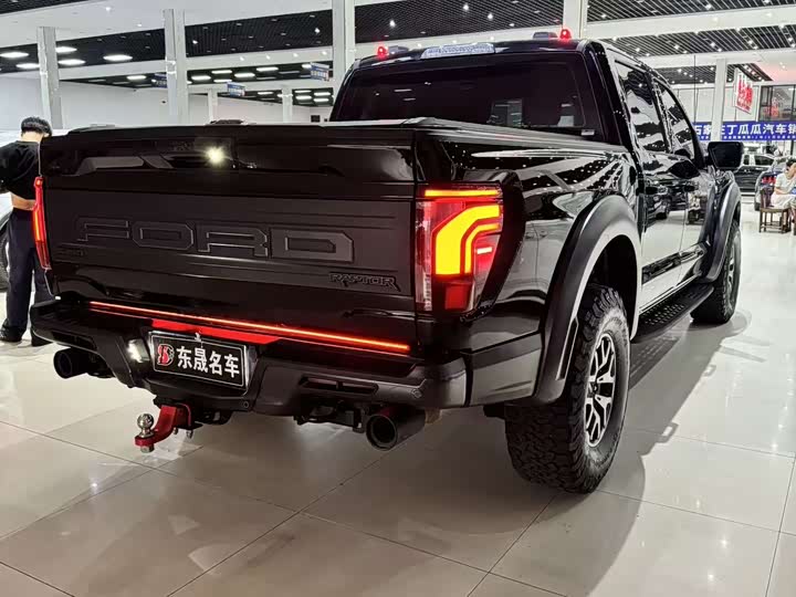 Ford F-150 Raptor, 2023 — фото 6 из 9