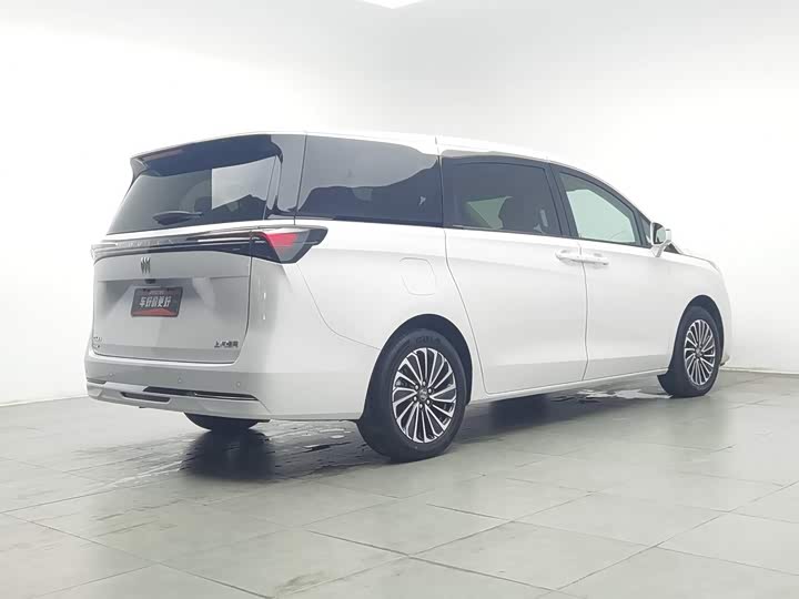 Buick GL8 Hybrid, 2025 — фото 2 из 9