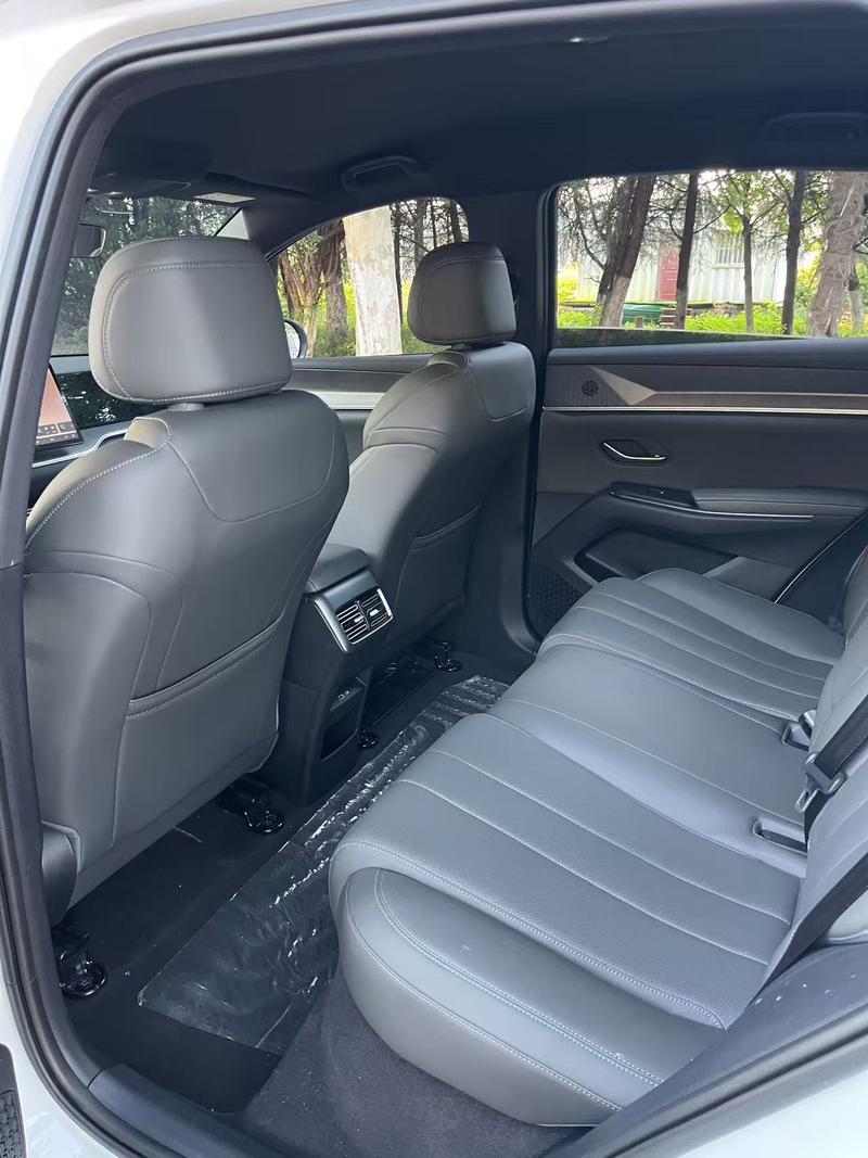 BYD Song Pro Hybrid, 2024 — фото 9 из 10