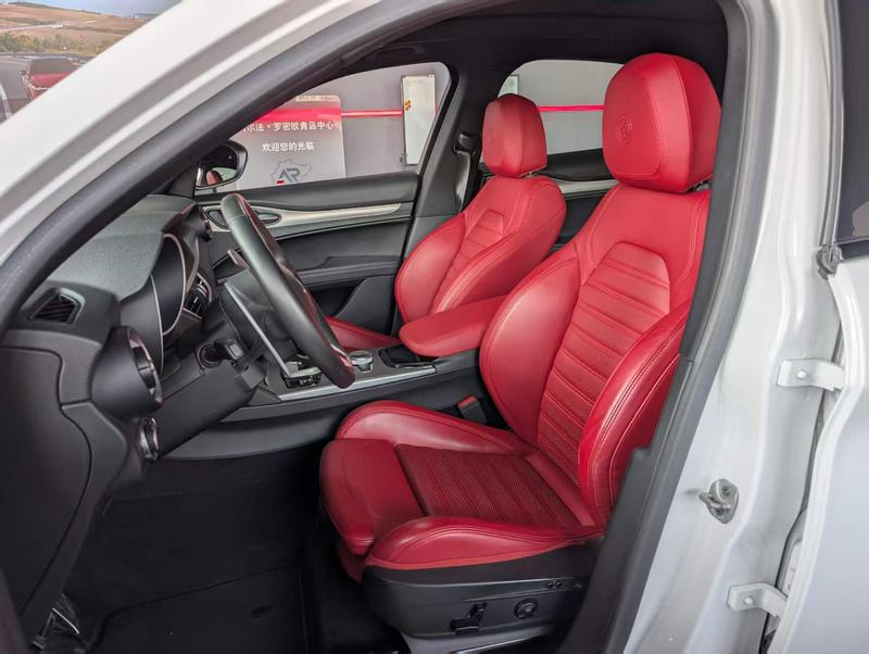 Alfa Romeo Stelvio, 2023 — фото 10 из 12