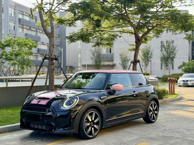 Mini Mini, 2022 — купить в Нижнем Новгороде под ключ