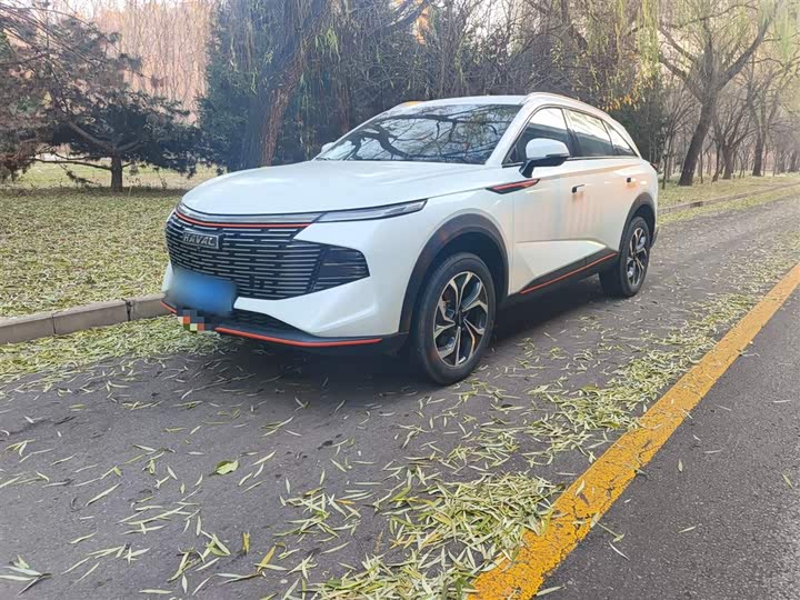 Haval F7 (Monster), 2025 — фото 2 из 9