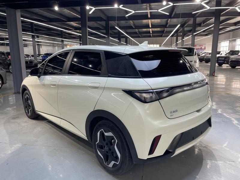 BYD Dolphin, 2022 — фото 4 из 12