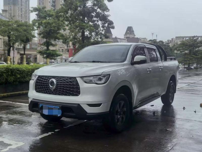 Great Wall Pao, 2021 — купить в Рязани под ключ