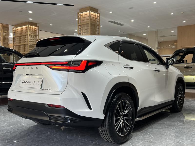 Lexus NX Hybrid, 2021 — фото 6 из 12