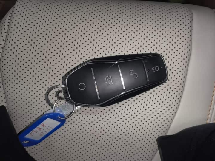 BYD Song Pro Hybrid, 2024 — фото 9 из 9