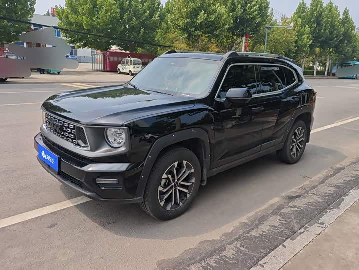 Haval H-Dog, 2024 — купить в Курске под ключ