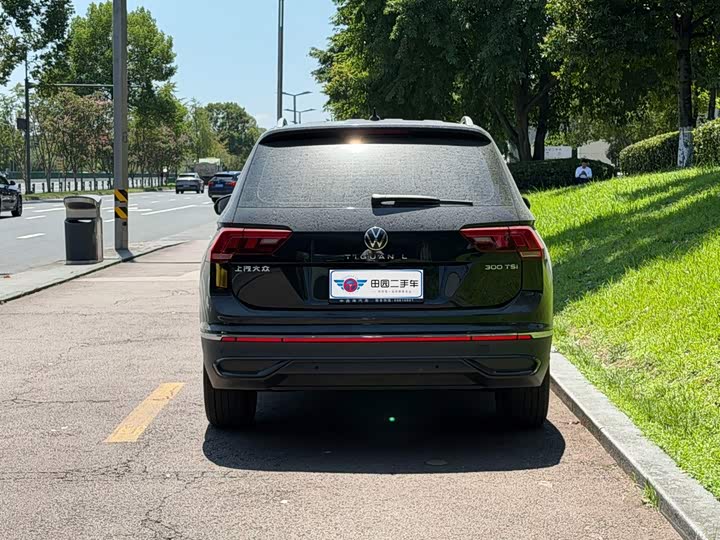 Volkswagen Tiguan L Pro, 2024 — фото 5 из 9
