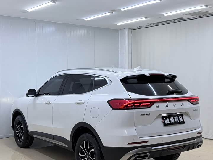 Haval H6, 2023 — фото 6 из 9