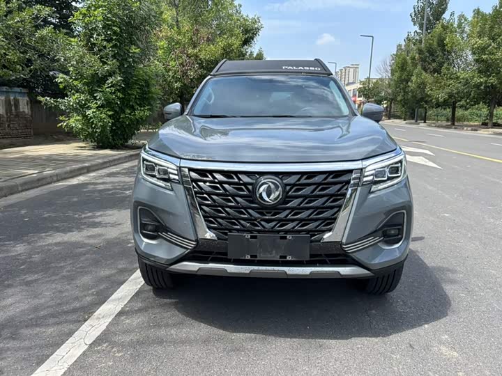 Dongfeng Palasso, 2025 — фото 6 из 9
