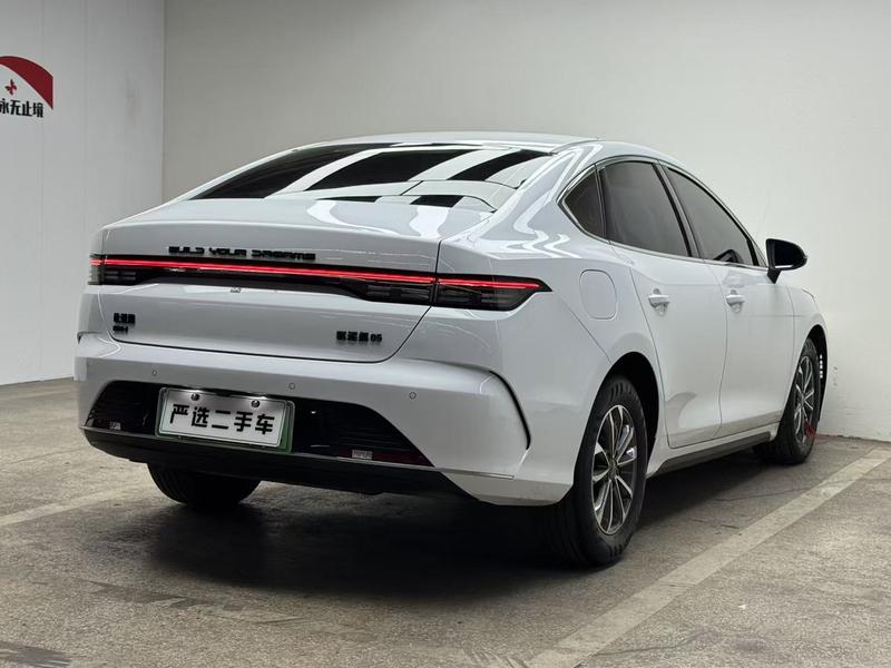 BYD Destroyer 05, 2024 — фото 6 из 12