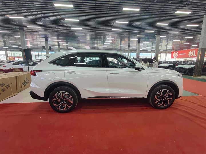 Haval Ruge Max, 2025 — фото 6 из 9