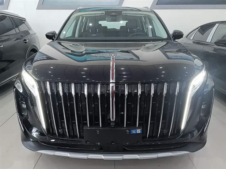 Hongqi HS7 Hybrid, 2024 — фото 3 из 9
