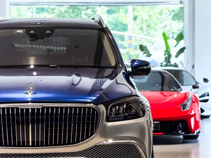 Mercedes-Benz Maybach GLS, 2022 — фото 2 из 9