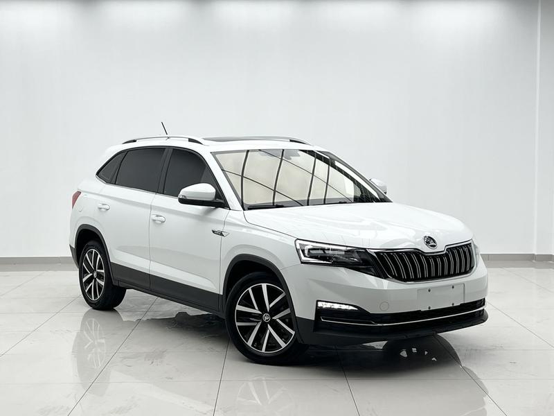 Skoda Kamiq, 2024 — фото 3 из 12