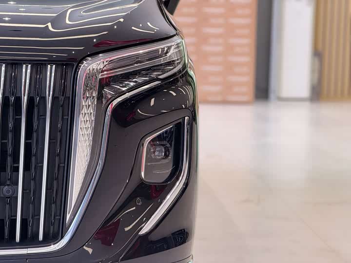 Hongqi HQ9 Hybrid, 2024 — фото 7 из 9