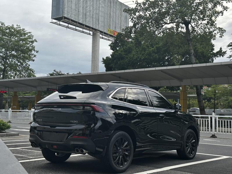 Dongfeng Forthing T5 EVO, 2021 — фото 6 из 12