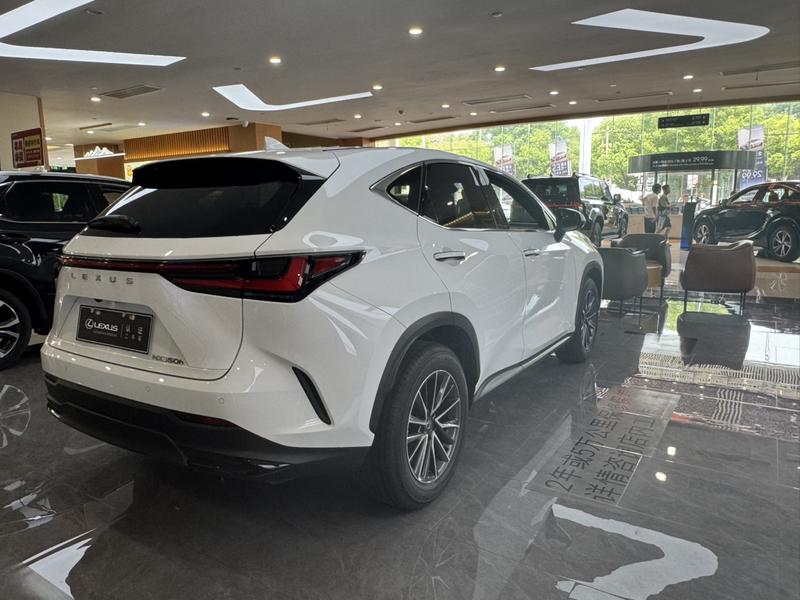 Lexus NX, 2026 — фото 5 из 9
