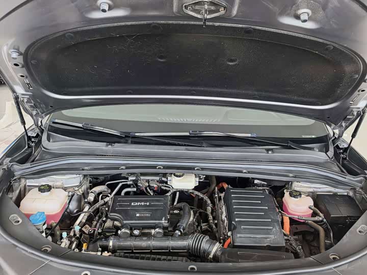 BYD Song L DM-i Hybrid, 2024 — фото 2 из 9