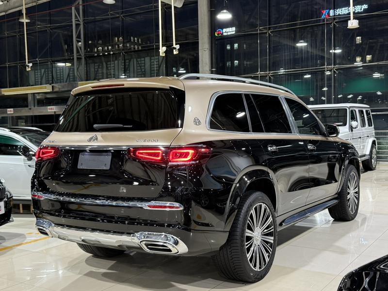 Mercedes-Benz Maybach GLS, 2022 — фото 6 из 12