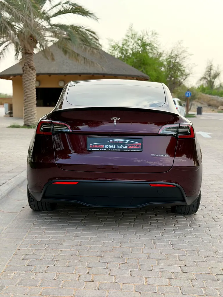 Tesla Model Y, 2024 — фото 3 из 10