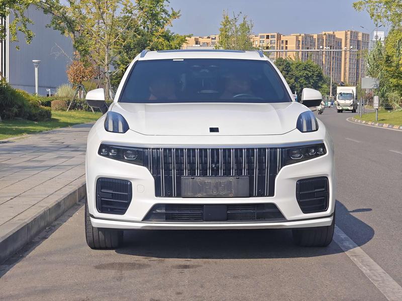 Lynk & Co 09 EM-P Hybrid, 2023 — фото 2 из 12