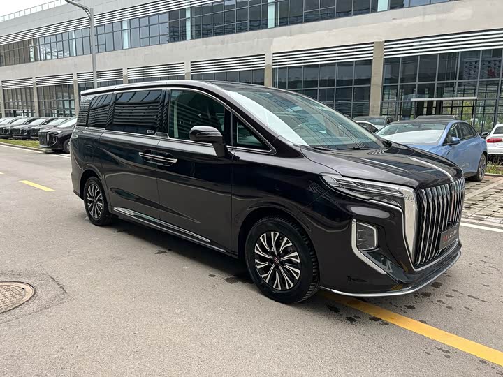 Hongqi HQ9 Hybrid, 2024 — фото 3 из 9