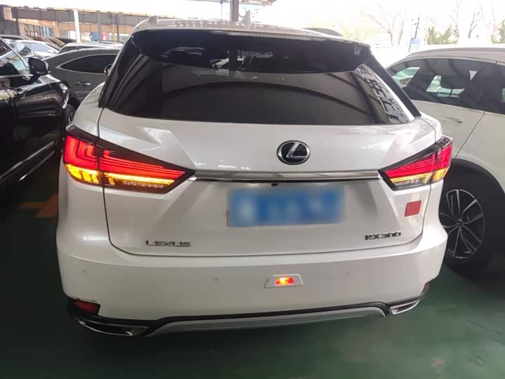Lexus RX, 2022 — фото 6 из 9