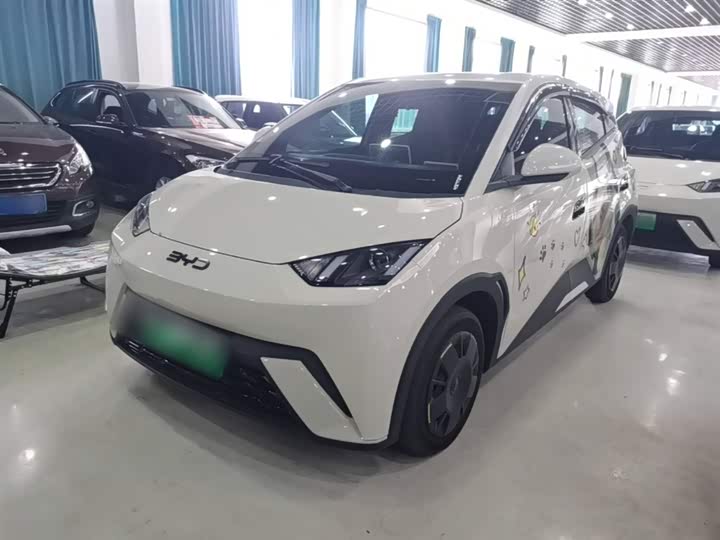 BYD Seagull, 2024 — купить в Тольятти под ключ