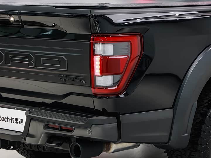 Ford F-150 Raptor, 2023 — фото 9 из 9