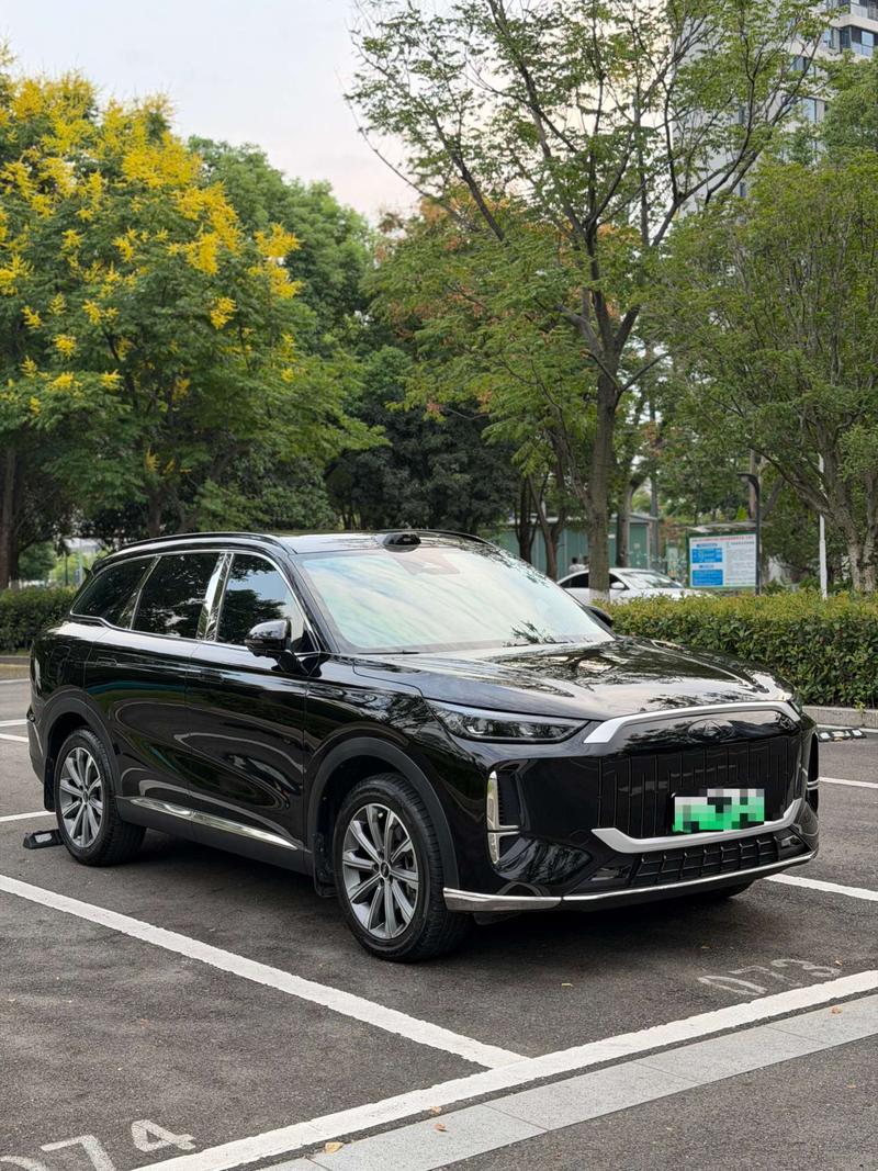 Chery Fulwin T9, 2024 — фото 3 из 9