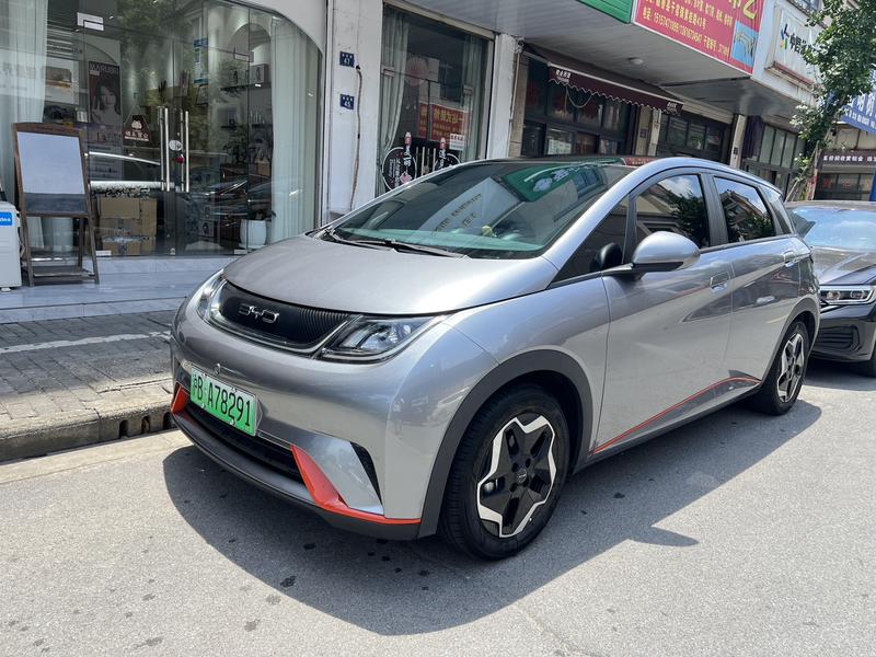 BYD Dolphin, 2022 — купить в Туле под ключ