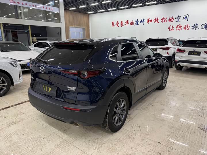 Mazda CX-30, 2021 — фото 5 из 9