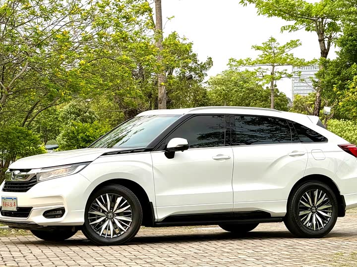 Honda Avancier, 2023 — купить в Пензе под ключ
