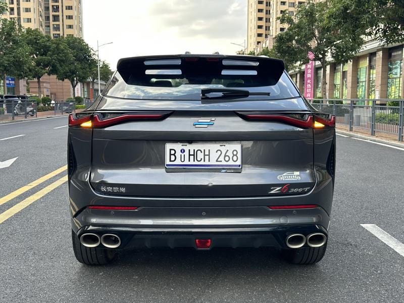 Changan Oshan Z6, 2023 — фото 6 из 12