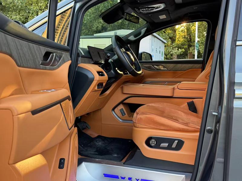 Wey 80 Hybrid, 2025 — фото 9 из 11